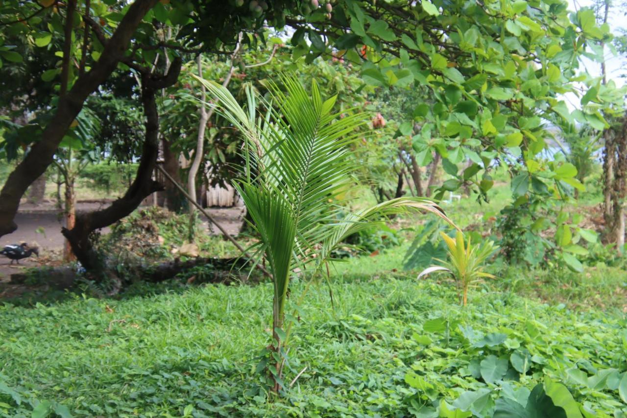 Hotel La Sirenita - Ometepe Altagracia Esterno foto