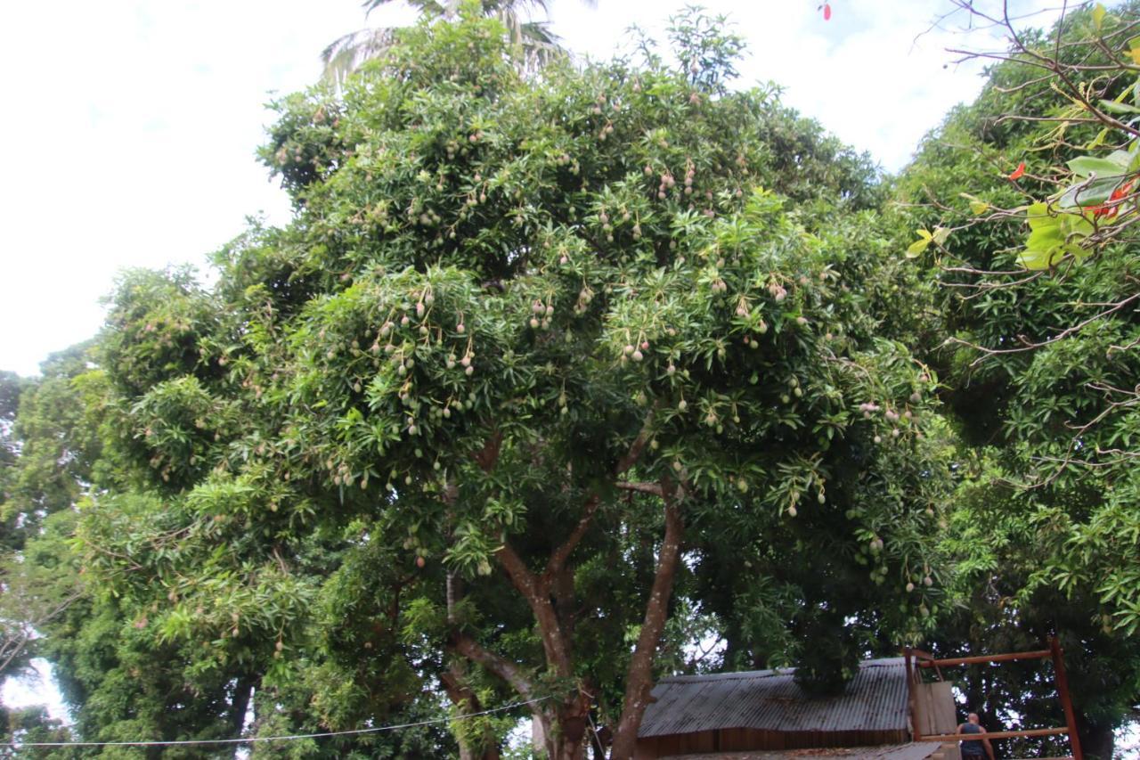 Hotel La Sirenita - Ometepe Altagracia Esterno foto