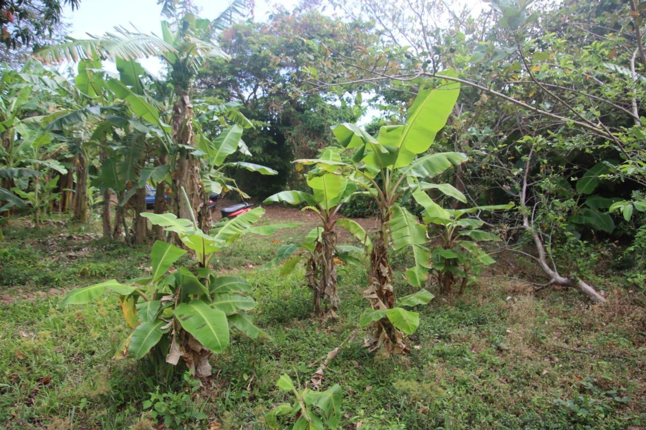 Hotel La Sirenita - Ometepe Altagracia Esterno foto
