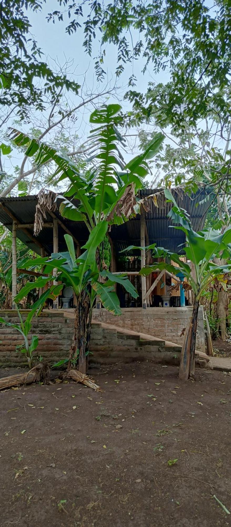 Hotel La Sirenita - Ometepe Altagracia Esterno foto